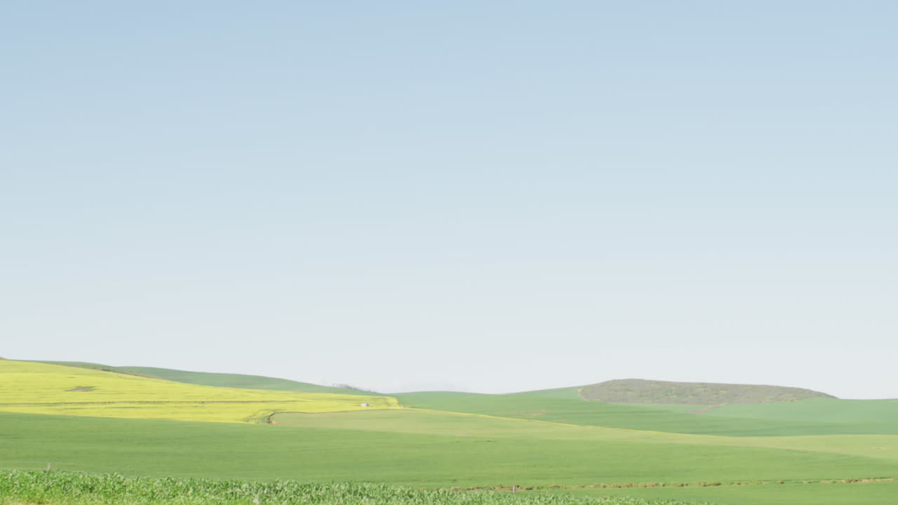 조경 위에 파란 리본과 희망 텍스트의 애니메이션