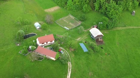 bird's eye view of the farm buildings at the green meadow in slovenia