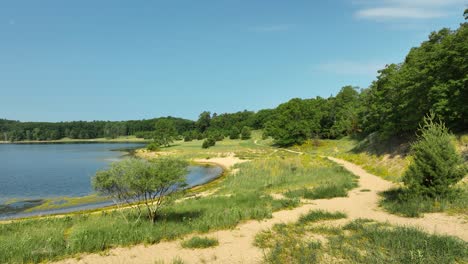 sandy path nestled in the dunes on a lakeside beach.