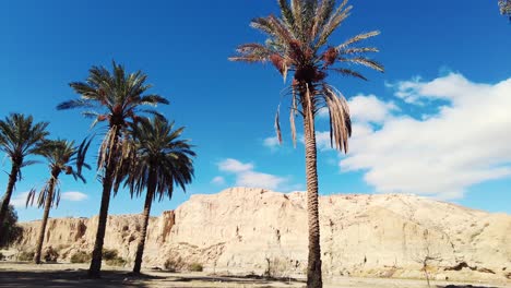 Un-Cañón-Con-Un-Río-Entre-Montañas-Y-Palmeras