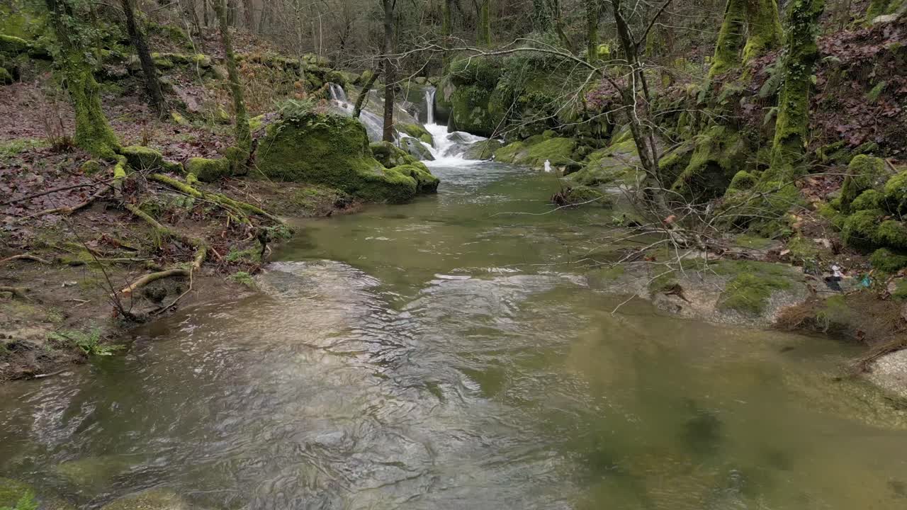 Sungai kecil hutan yang tenang dengan air terjun bertingkat