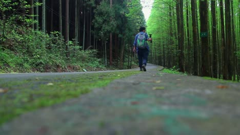 Caminar-Por-Un-Bosque-De-Bambú,-Cerrar-La-Vista-Trasera-De-Vlogger-Caminando-Con-Mochila,-Tiro-De-ángulo-Bajo