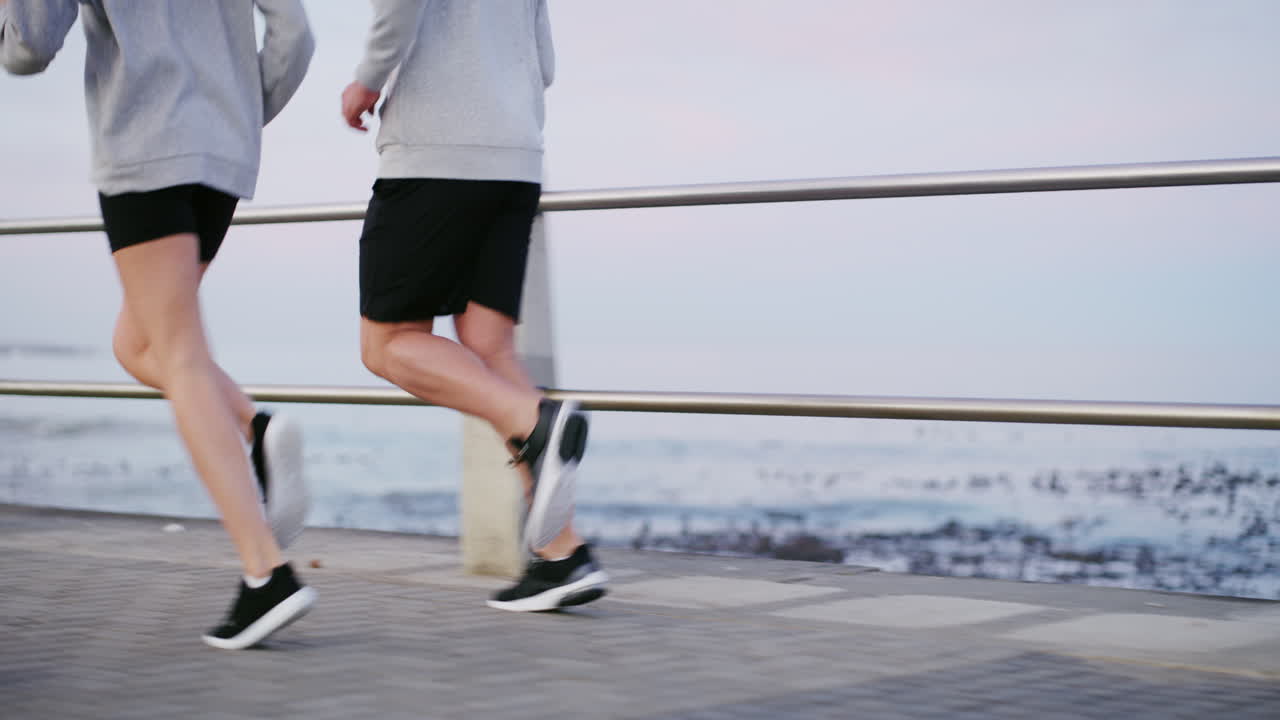 entrenamiento como bestias