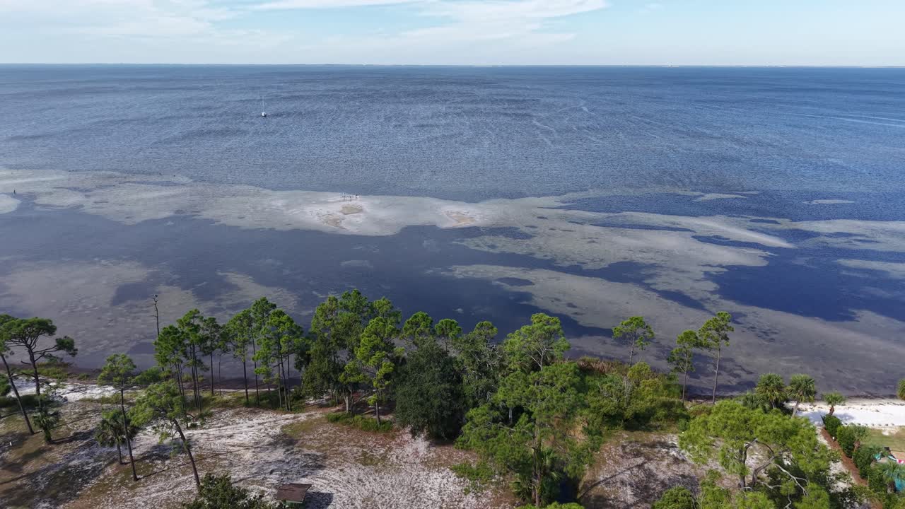 Drone orbit over the shallow ocean bay with visible mossy water top near coastline, Port St. Joe, Gulf County, Florida, USA