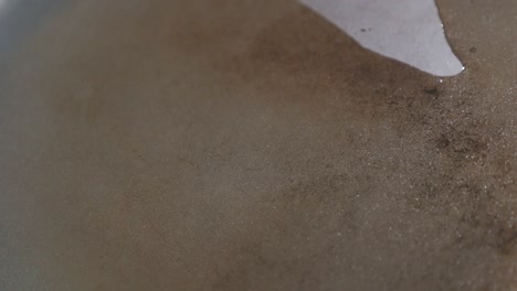 esparcimiento de aceite vegetal en la superficie de la sartén de cerca