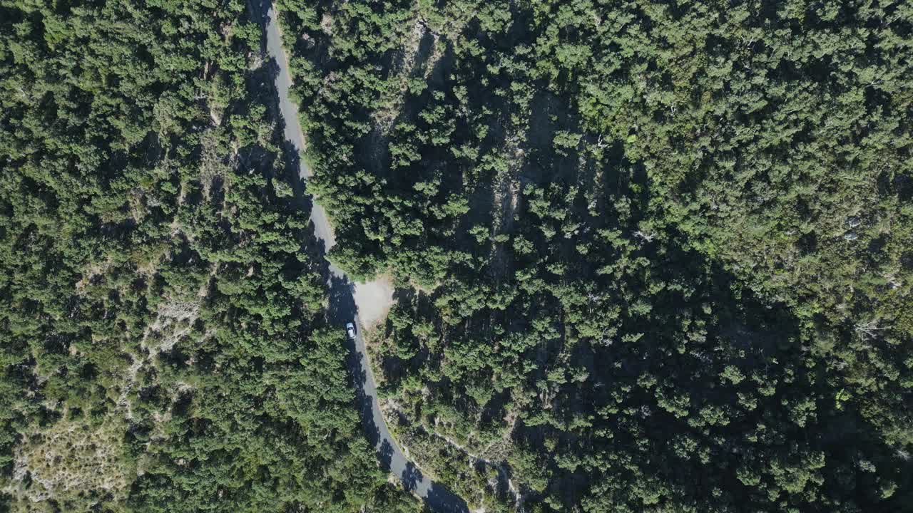 Drone Aerial top down White car follow road through Mediterranean green mountain forest