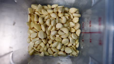 slow motion and close up view of garlic cloves falling into a measuring cup.