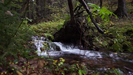 Kleiner-Bach-Im-Wald-Mit-Kleinem-Wasserfall