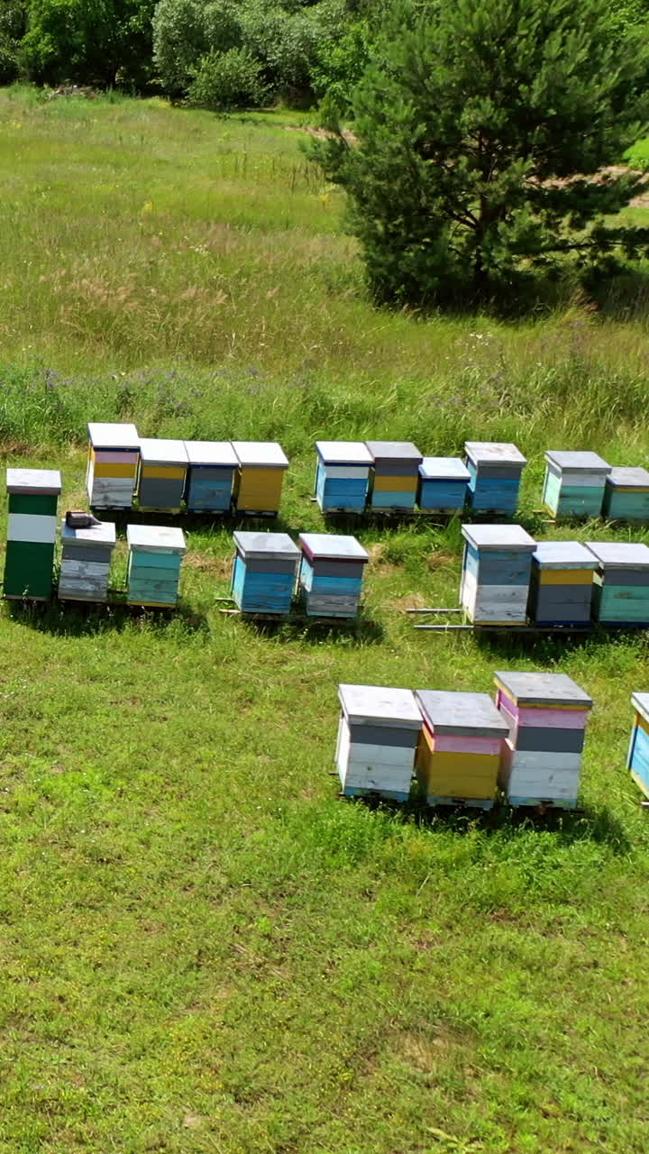 Bee houses in the garden. Wooden hives stand on green grass on apiary in summer. Organic honey production. Aerial view. Vertical video