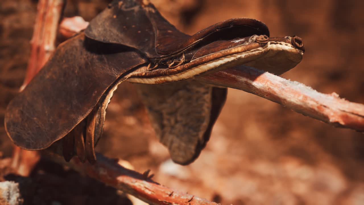 silla de montar y rocas rojas en el valle del monumento