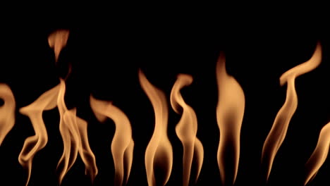 fiery languages on black background