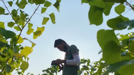 A-photographer-in-nature-captures-the-beauty-of-the-environment-with-his-camera