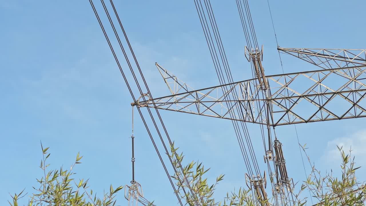 Static view of high-voltage transmission lines suspended from a lattice steel tower, cables stretching across blue sky with bamboo foliage below, showing large-scale power infrastructure