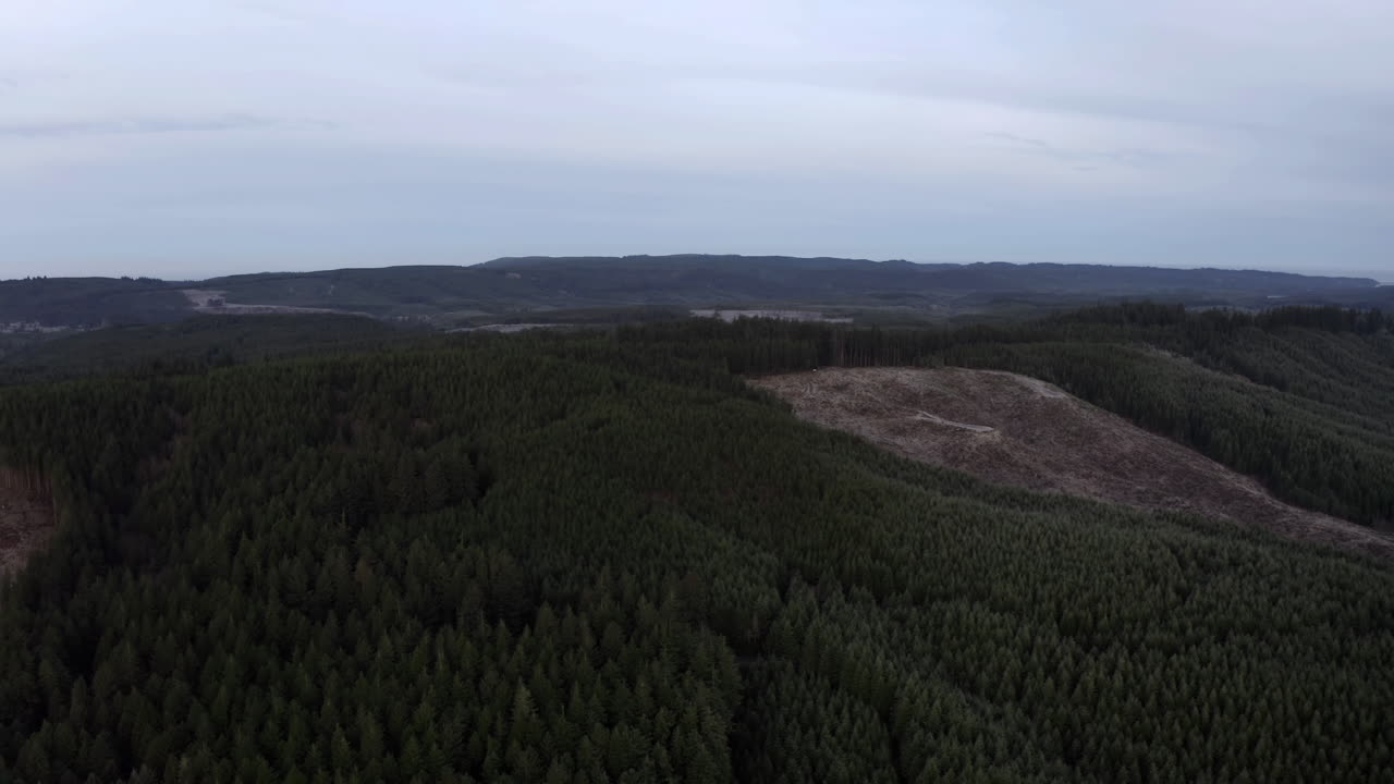 вырубки в результате обезлесения в штате орегон - аэрофотосъемка