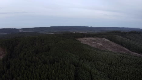 clear cuts due to deforestation in oregon - aerial