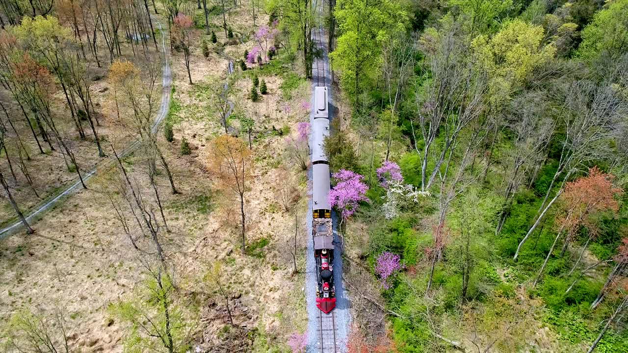 1860년대 증기 여객 열차가 외로운 단일 철도 트랙에서 숲이 우거진 지역을 통과하는 공중 전망