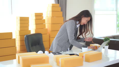 Woman-at-desk-working-on-computer-for-parcel-delivery-service