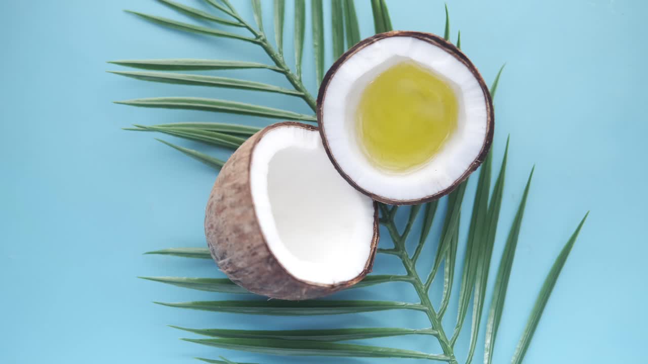 coco y hoja de palma