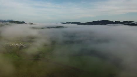 Rückwärtsorbit-Luftaufnahme-Einer-Natürlichen-Landschaft-Und-Tropischen-Regenwäldern-Von-Costa-Rica