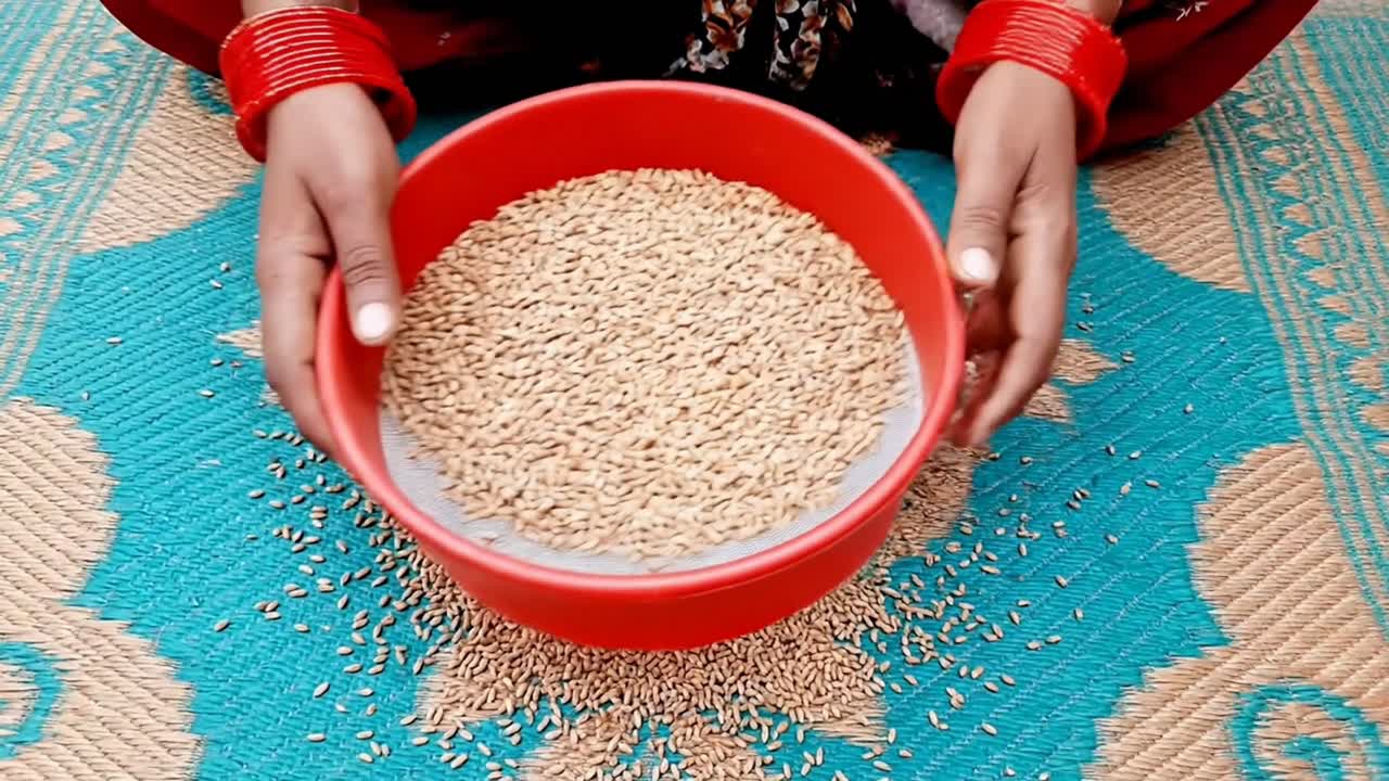 Indian Woman Sifting Wheat Grains in a Bowl