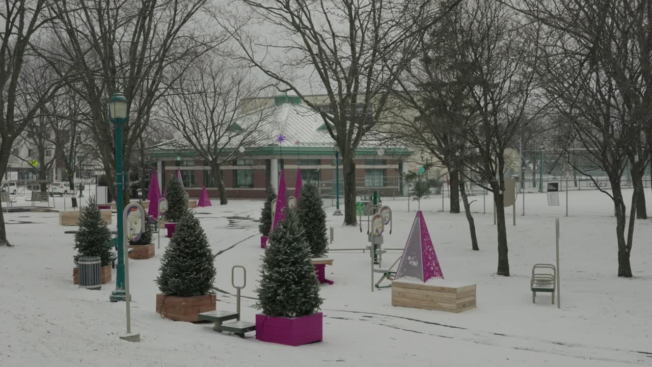 작은 크리스마스 나무 보라색 콘과 가로등이 있는 빈 겨울 공원