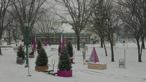 empty winter park with small christmas trees purple cones and streetlamp