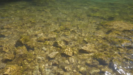 Clear,-fresh-mountain-river-water,-glistening-in-the-sun