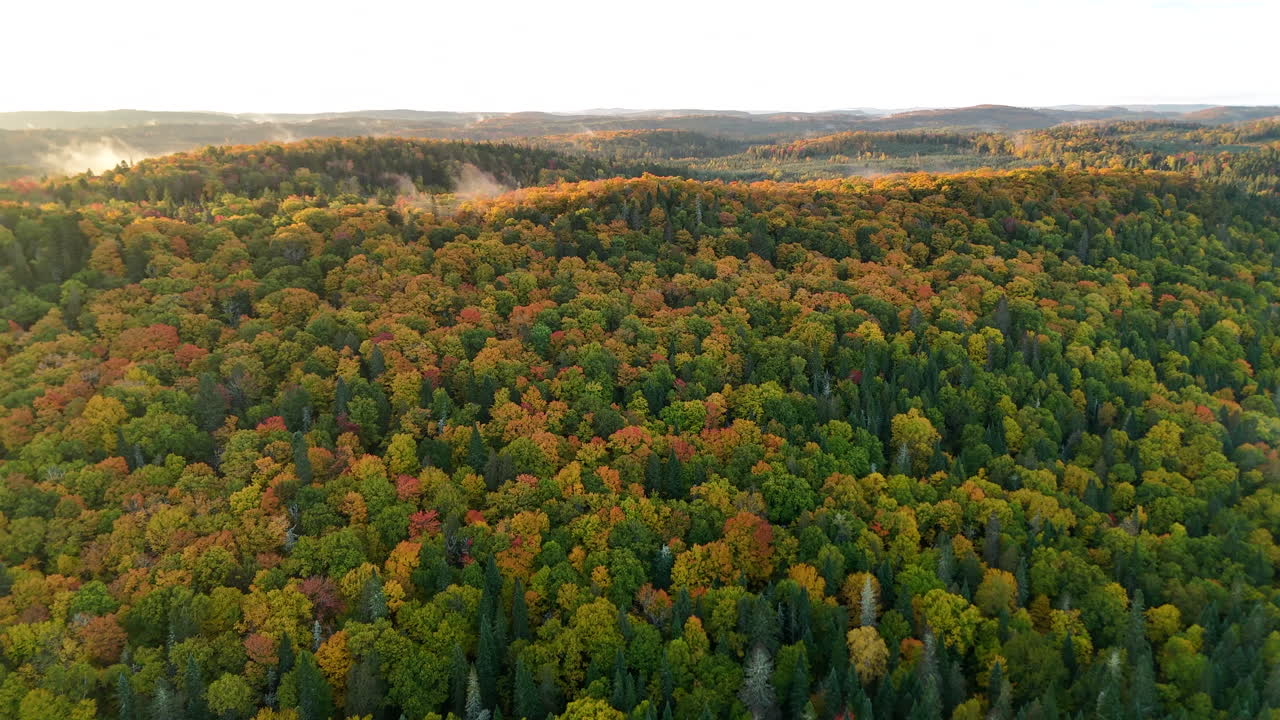 Drone view of a colorful autumn forest with mountains, lake, and river at sunrise in Mauricie, Quebec, Canada. Warm morning light highlights vibrant fall foliage and peaceful landscape
