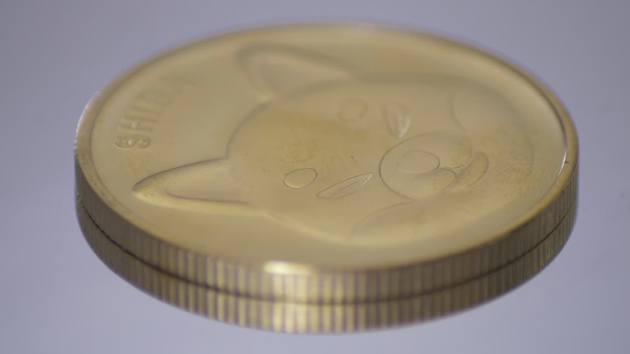 token shibainu en una mesa giratoria de cerca