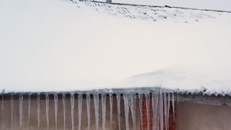 ice dam - icicles on the eaves of sloped roof of house during winter