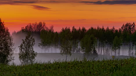 Static-shot-of-orange-sky-colored-during-sunset-in-timelapse-over-trees-and-grass-fields-along-rural-countryside