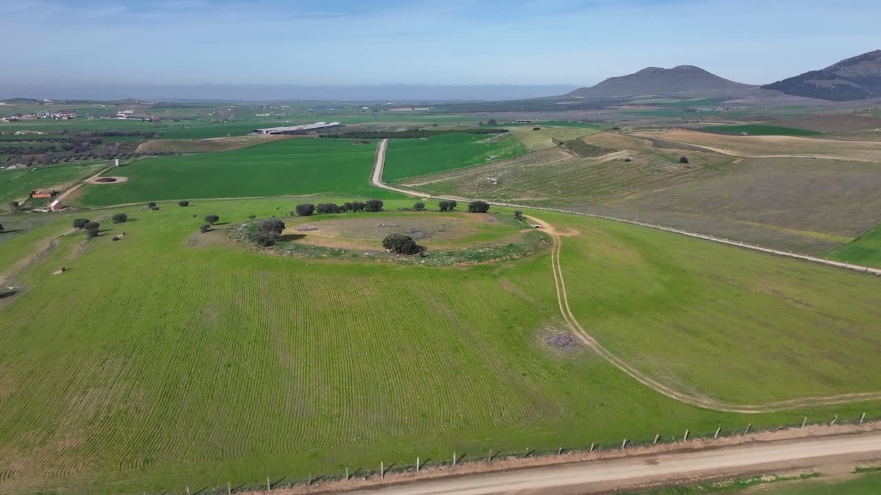vuelo viendo los restos de un gran dolmen y el paso de una bandada de pájaros blancos en un entorno de campos de cultivos verdes con un fondo de montañas con un cielo azul en invierno toledo, españa