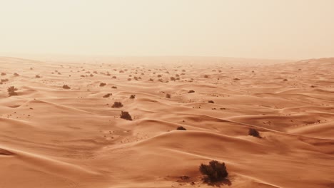 desert landscape