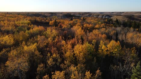 Slowly-forward-moving-camera-movement-of-4k-drone-over-stunningly-colourful-autumn-forest-during-sunset