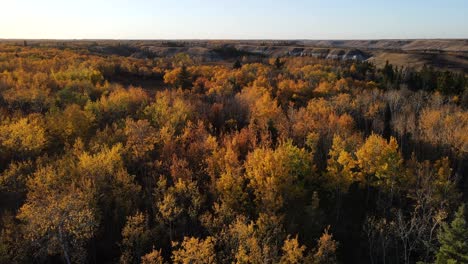 Langsam-Vorwärts-Bewegende-Kamerabewegung-Einer-4K-Drohne-über-Atemberaubend-Farbenfrohen-Herbstwald-Bei-Sonnenuntergang