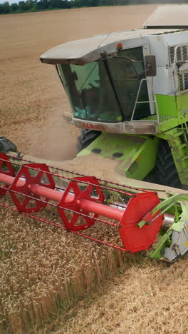 agricultural big combine gathering yellow plants. machinery harvesting on the field. vertical video