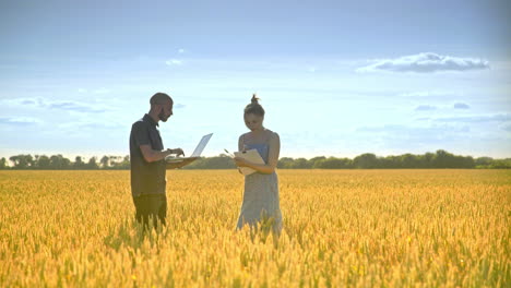 agro researchers team working in wheat field. agriculture research concept