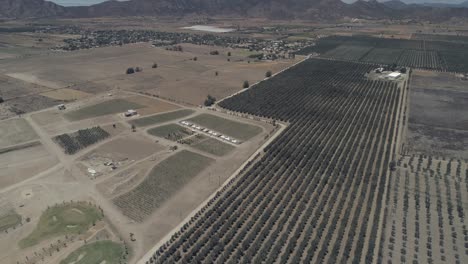 Toma-Aérea-De-Un-Hotel-En-Un-Viñedo-En-El-Valle-De-Guadalupe