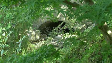 A-stone-culvert-seen-through-dense-foliage