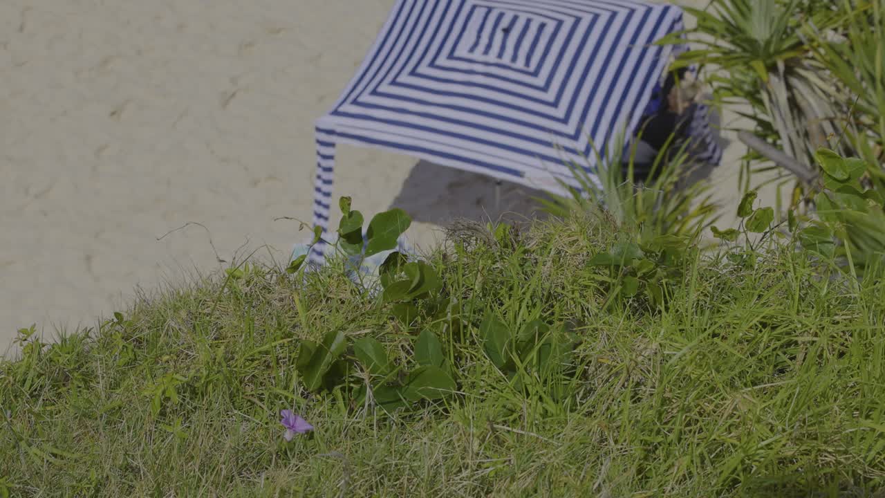 잔디로 된 모래 언덕 위 에 있는 줄무 우산