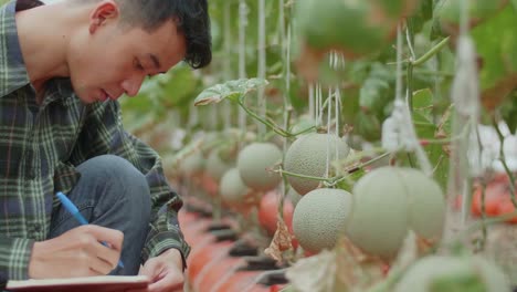 Asian Farmer Is Documenting Data The Yield And Growth Of Melons In Organic Farms With Book. Agriculture Or Cultivation Concept