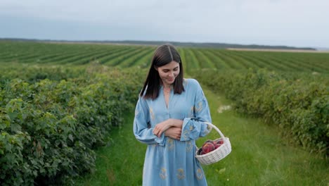 pretty-girl-goes-with-a-basket-of-fruits