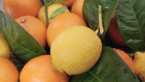 cítricos limón y naranja de cerca