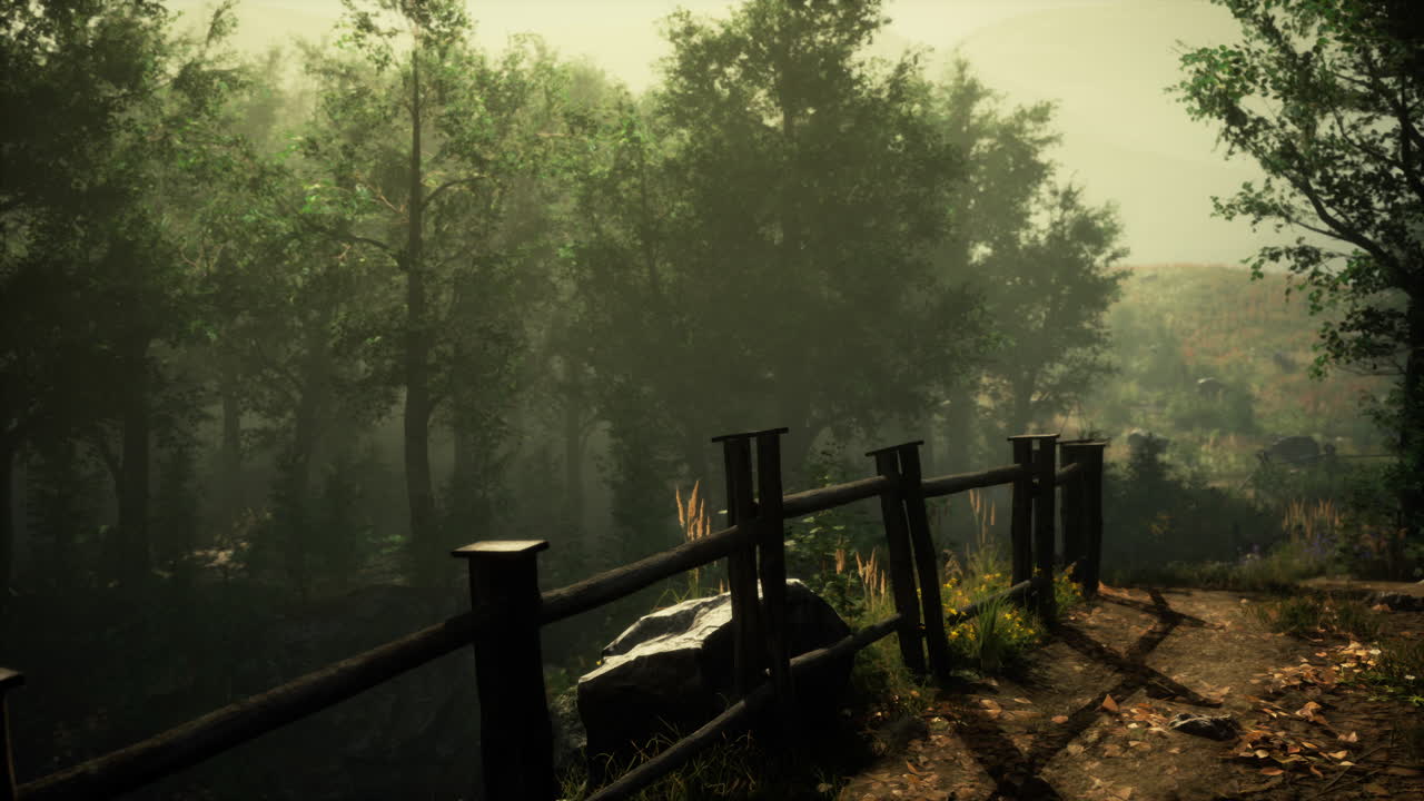 Misty Forest Path with Wooden Fence