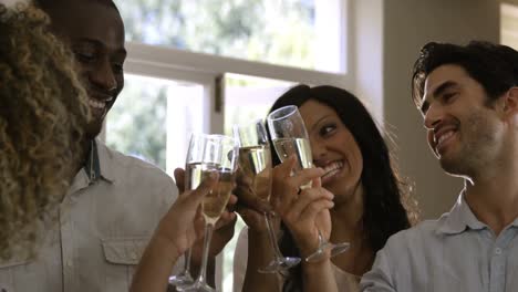 friends toasting a wine glasses