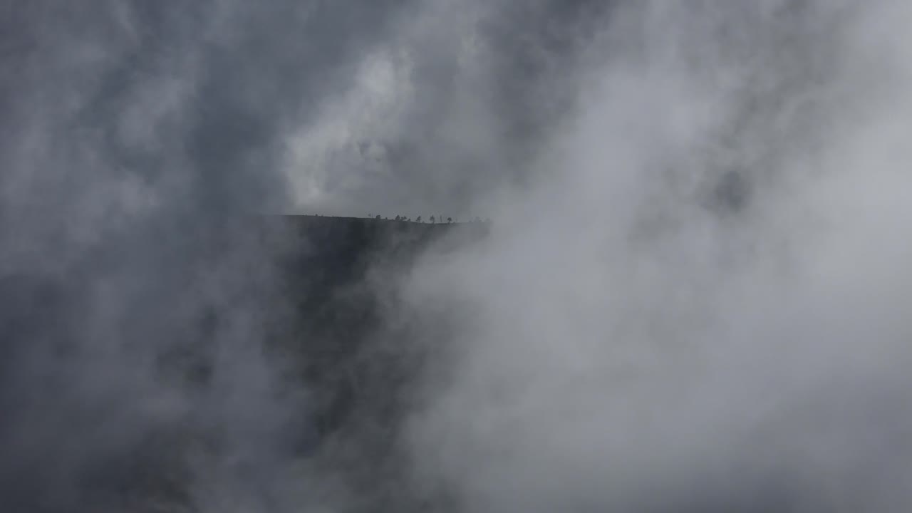 Static shot of clouds and mist moving over the trees at the top of the mountain in Mexico