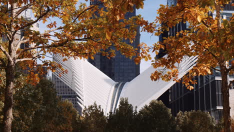 autumn trees with white oculus building architecture in background, manhattan