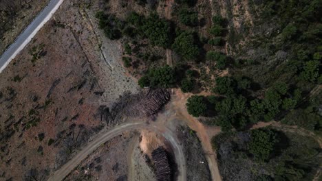 montones de árboles cortados almacenados cerca de la carretera para camiones madereros, vista aérea de arriba hacia abajo