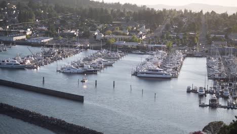 yachts and boats moored at cap sante park near the seawall seen from the park in anacortes, washington, united states