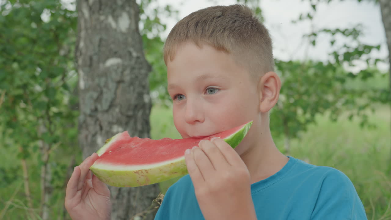 niño comiendo sandía al aire libre bajo un abedul, sonriendo mientras da grandes bocados jugosos durante un picnic relajado en el prado, luz natural, follaje verde y ropa informal de verano, primer plano espontáneo